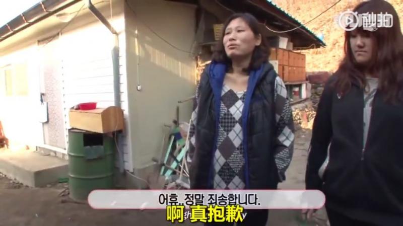 狗界乾隆爺！發現家裡狗兒「行蹤詭異」追查才發現「全村女友都懷龍種」立刻被拖回家關禁閉
