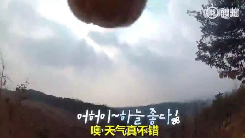 狗界乾隆爺！發現家裡狗兒「行蹤詭異」追查才發現「全村女友都懷龍種」立刻被拖回家關禁閉