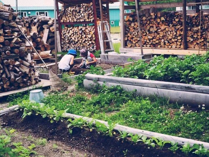 一家四口隱居在超美北海道過著「田園生活」，日常生活照吸引數十萬人追蹤！ 
