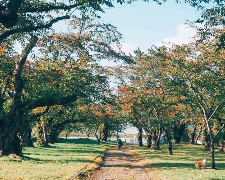 一家四口隱居在超美北海道過著「田園生活」，日常生活照吸引數十萬人追蹤！ 
