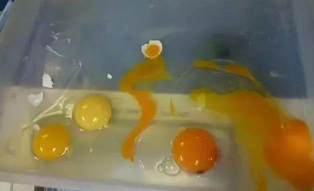 日本人憑什麼就敢生吃雞蛋？原來這就是真相！