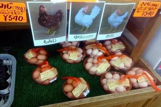 日本人憑什麼就敢生吃雞蛋？原來這就是真相！