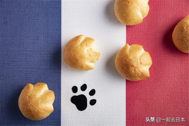 今年的主題是喵星人！希爾頓草莓宴2019年驚喜內容盤點！