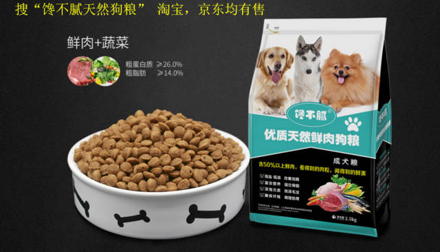 一個過來人的經驗分享：如何飼養貴賓犬？