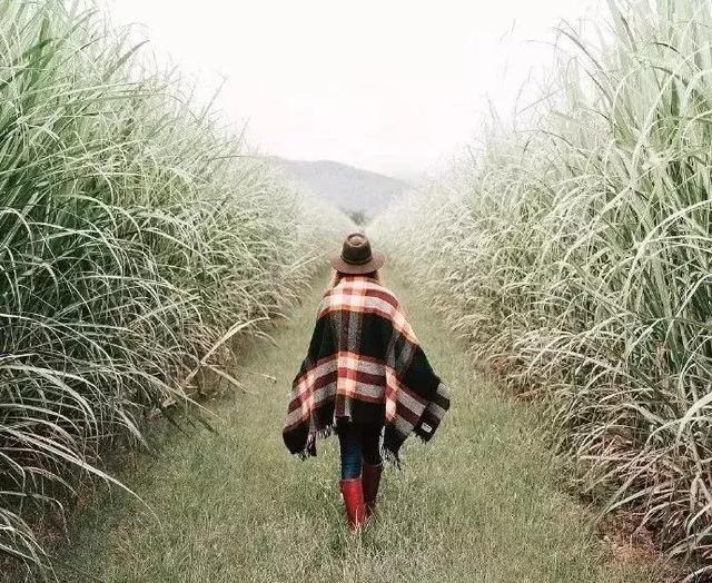 堅強的女人背後都是眼淚，獨立的女人心中都有傷痕，獻給不會撒嬌外表堅強的女人