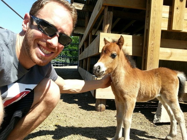 20隻「以為只會在童話故事看到的」超神奇動物　比狗大隻還會爬樹的螃蟹看過嗎？