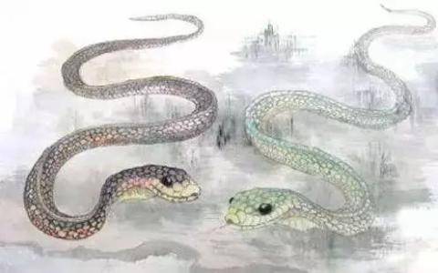 最會賺錢的生肖排行榜，你是第幾呢？