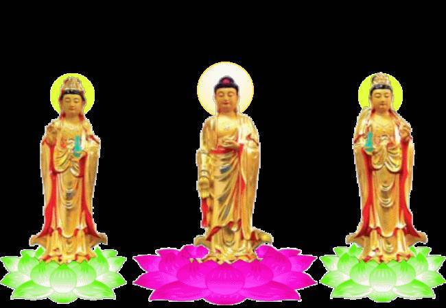 恭喜您，您真幸運，一大清早您就見佛了！請接福 