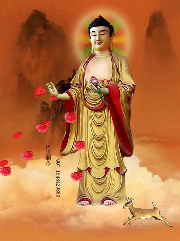 恭喜您，您真幸運，一大清早您就見佛了！請接福 