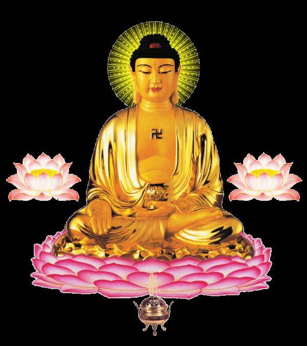 恭喜您，您真幸運，一大清早您就見佛了！請接福 