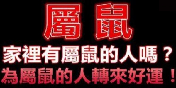 家裡有屬鼠的人嗎，有就不得了！分享出去，會為屬鼠的人帶來好運！