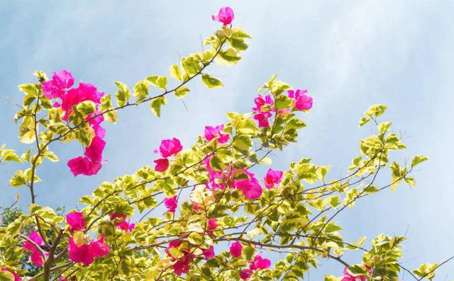 3月1日開始，這幾個生肖最有錢花