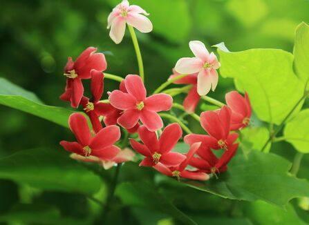 3月1日開始，這幾個生肖最有錢花