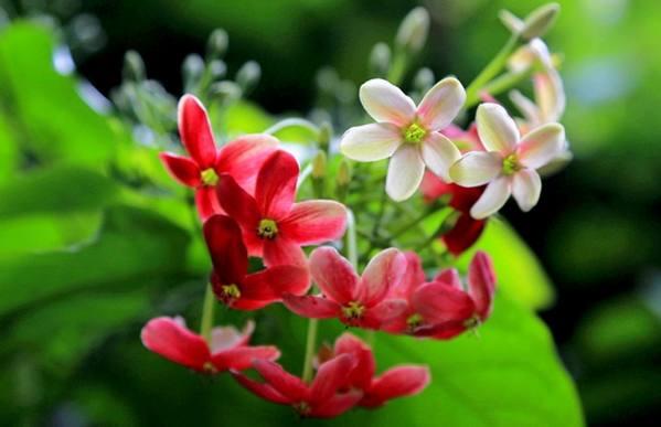 3月1日開始，這幾個生肖最有錢花