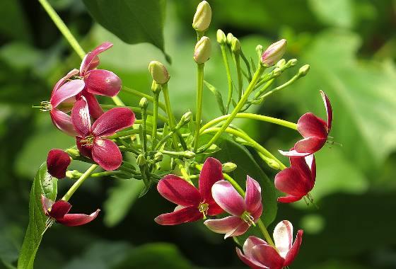 3月1日開始，這幾個生肖最有錢花