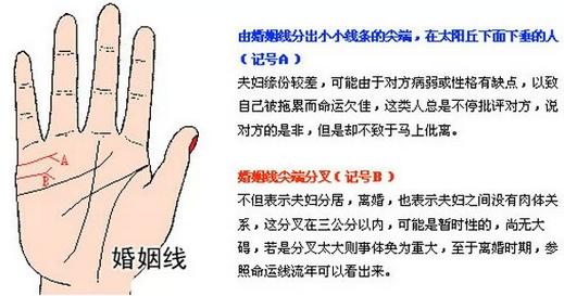 左手看老公 右手看老婆 手相告訴你未來配偶的訊息！