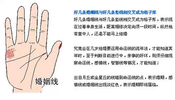 左手看老公 右手看老婆 手相告訴你未來配偶的訊息！