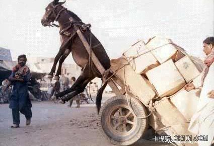哈哈！牛人，牛事真不少啊！(33P) - 世界探索 - 人身保險,境界,旅行家