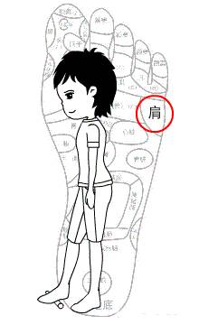 把一根棍子踩在地上滾10分鐘，改善肩膀疼痛，對脾氣暴躁、肝不好、熬夜的人很好！