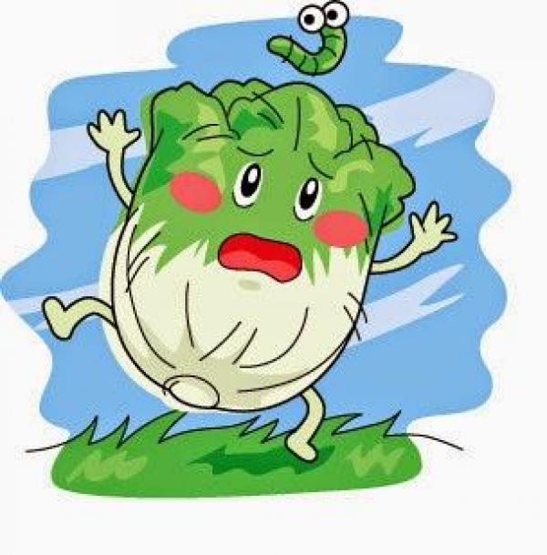 普通一道菜，清腸清宿便，五臟毒素一掃光！