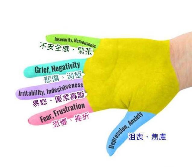 每天5分鐘，這樣握一握手指，肝好了、腎強了、不再失眠了、頭也不疼了