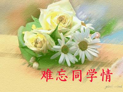 致所有老同學：一輩子真的很短，趁我們能聚就聚吧！這些話我想親自跟你說...