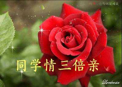 致所有老同學：一輩子真的很短，趁我們能聚就聚吧！這些話我想親自跟你說...