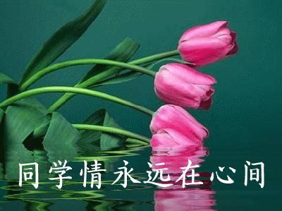 致所有老同學：一輩子真的很短，趁我們能聚就聚吧！這些話我想親自跟你說...