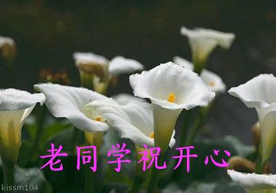 致所有老同學：一輩子真的很短，趁我們能聚就聚吧！這些話我想親自跟你說...