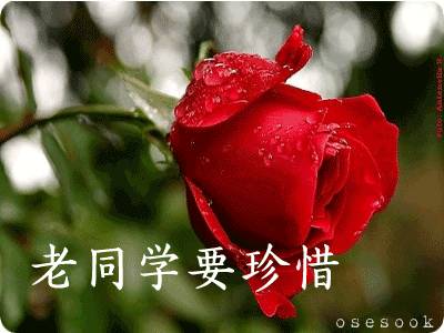 致所有老同學：一輩子真的很短，趁我們能聚就聚吧！這些話我想親自跟你說...