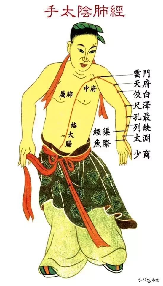 【自學中醫】將十二經絡穴位編成詩竟然這麼美，快來體驗一下