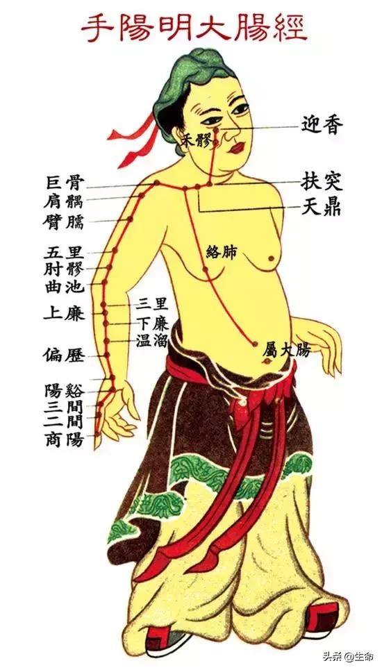 【自學中醫】將十二經絡穴位編成詩竟然這麼美，快來體驗一下