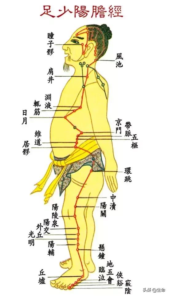 【自學中醫】將十二經絡穴位編成詩竟然這麼美，快來體驗一下