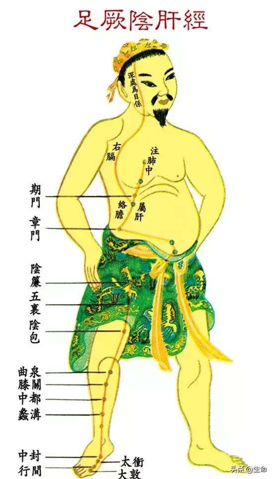 【自學中醫】將十二經絡穴位編成詩竟然這麼美，快來體驗一下