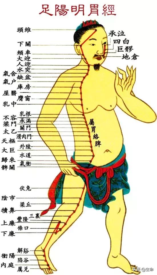 【自學中醫】將十二經絡穴位編成詩竟然這麼美，快來體驗一下