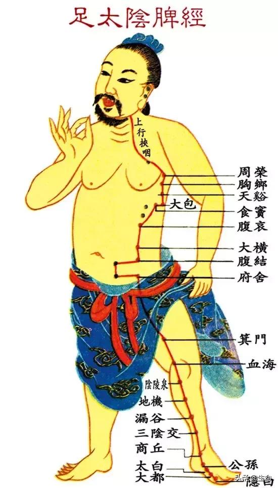 【自學中醫】將十二經絡穴位編成詩竟然這麼美，快來體驗一下