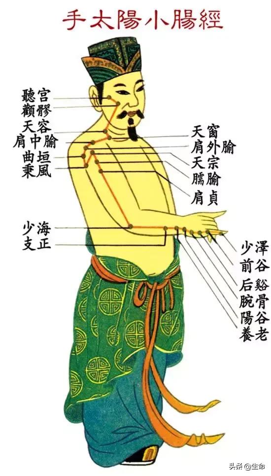 【自學中醫】將十二經絡穴位編成詩竟然這麼美，快來體驗一下