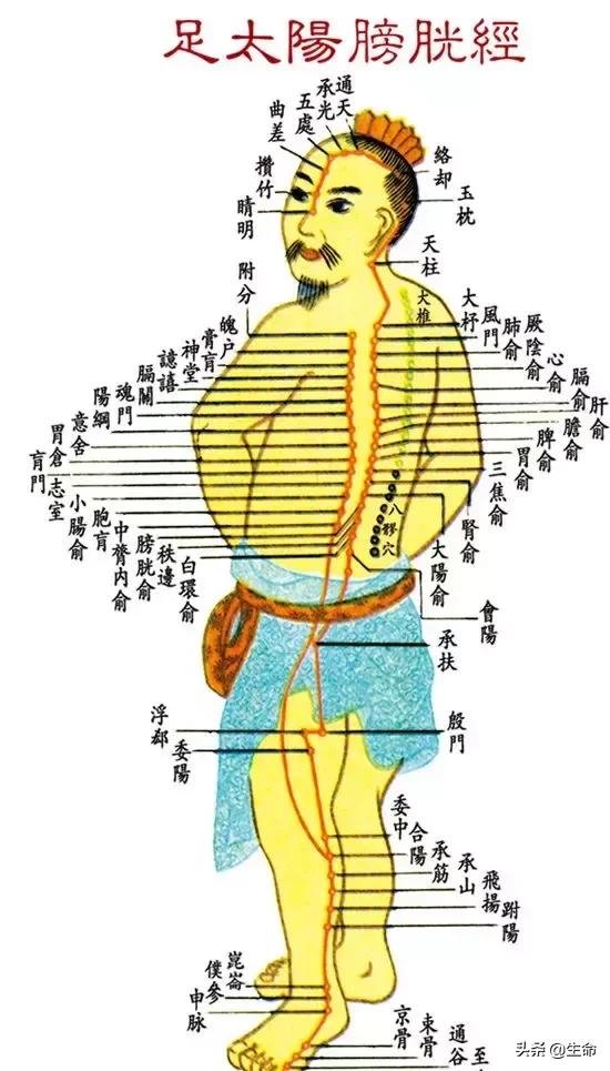【自學中醫】將十二經絡穴位編成詩竟然這麼美，快來體驗一下