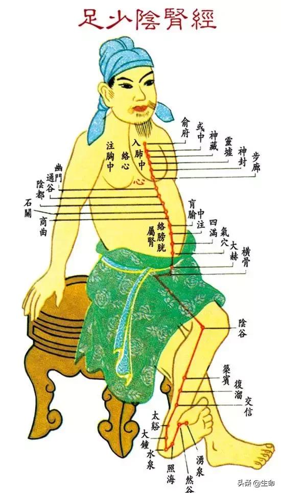 【自學中醫】將十二經絡穴位編成詩竟然這麼美，快來體驗一下