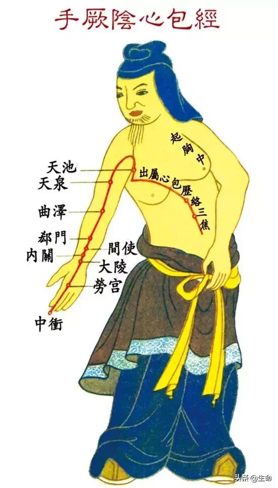 【自學中醫】將十二經絡穴位編成詩竟然這麼美，快來體驗一下
