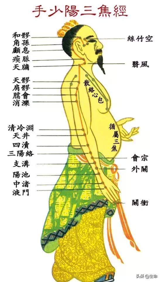 【自學中醫】將十二經絡穴位編成詩竟然這麼美，快來體驗一下