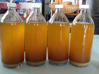 公開媽媽秘制「薑酒」媽媽喝了多年，腰酸好了，手腳也不麻了！趕緊試試，超有效！