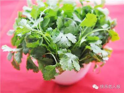 它被評為世界上最難吃的蔬菜，但排毒護腎降壓抗癌都得吃它！ 