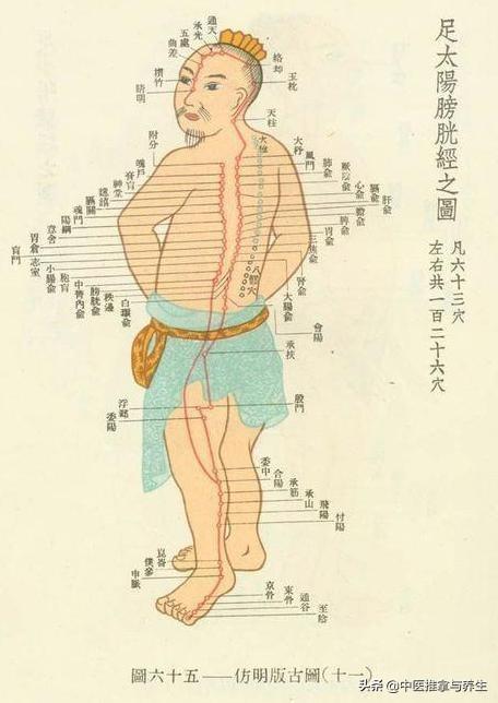 經絡不通生百病，這9個經絡排毒的秘訣要記好！