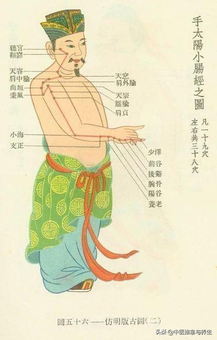 經絡不通生百病，這9個經絡排毒的秘訣要記好！