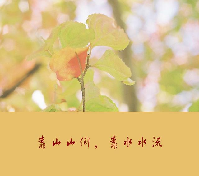 人活著，最大的靠山，不是別人，而是自己！靠自己最靠譜