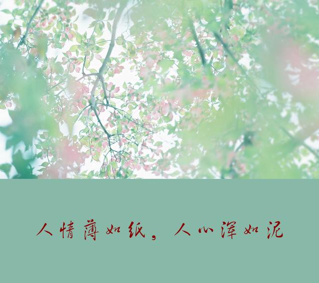 人活著，最大的靠山，不是別人，而是自己！靠自己最靠譜