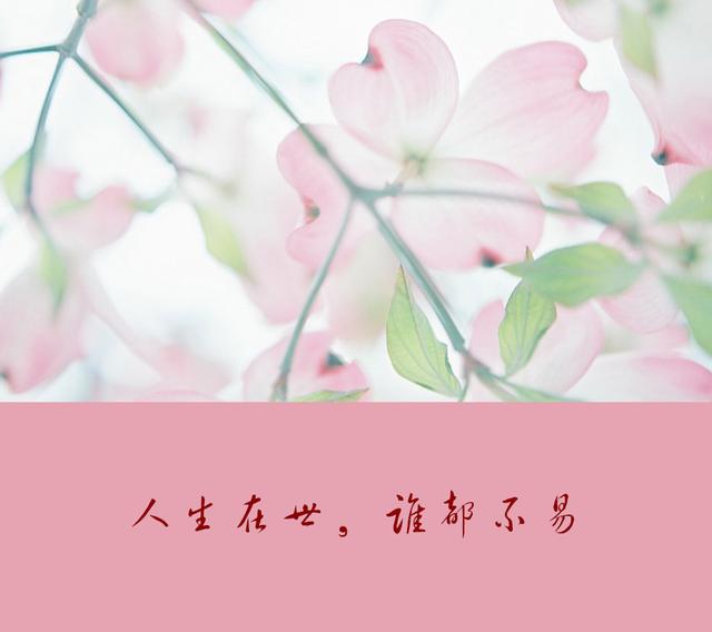 人活著，最大的靠山，不是別人，而是自己！靠自己最靠譜