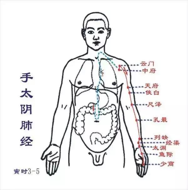 從零學經絡| 怎麼自己動手解決感冒發燒、咳喘、便秘腹瀉等問題