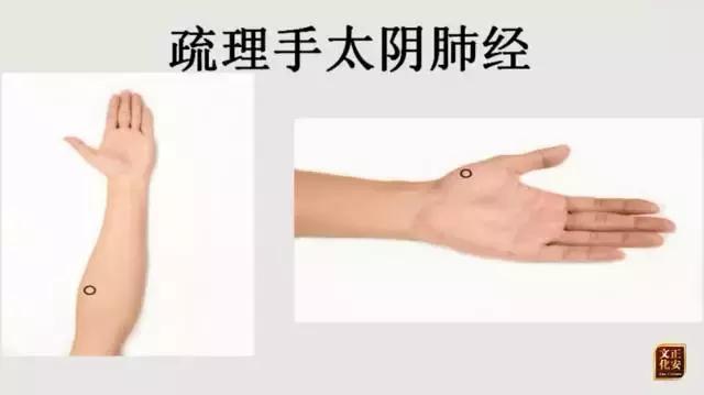 從零學經絡| 怎麼自己動手解決感冒發燒、咳喘、便秘腹瀉等問題